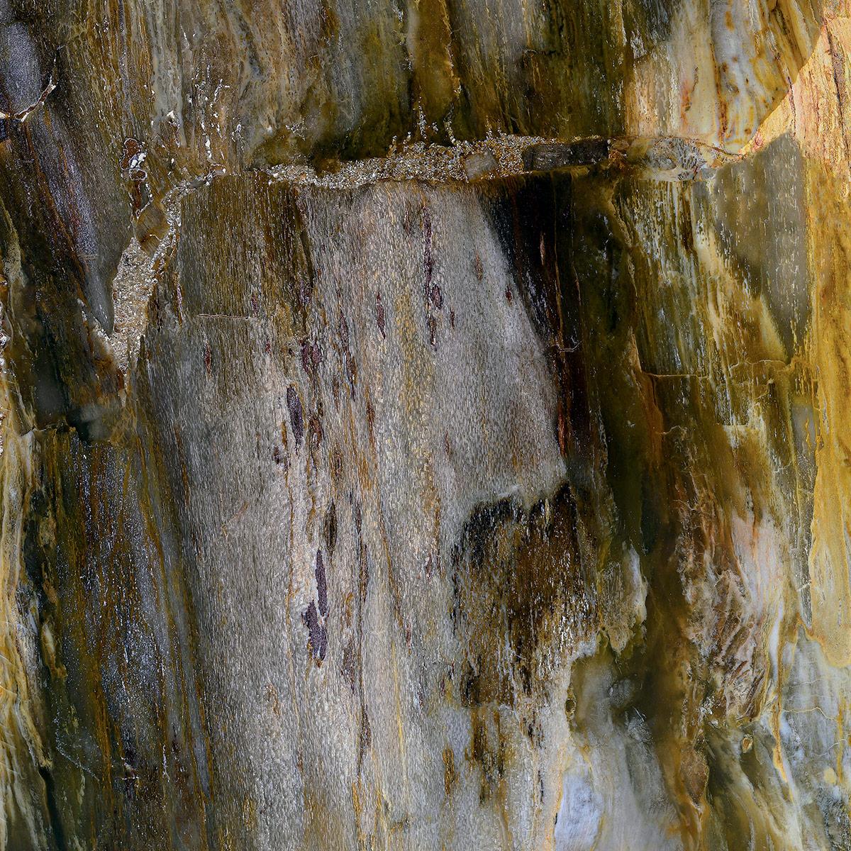 SICIS Elephant Cacao Vetrite sun-id-1991182 - Вид №1