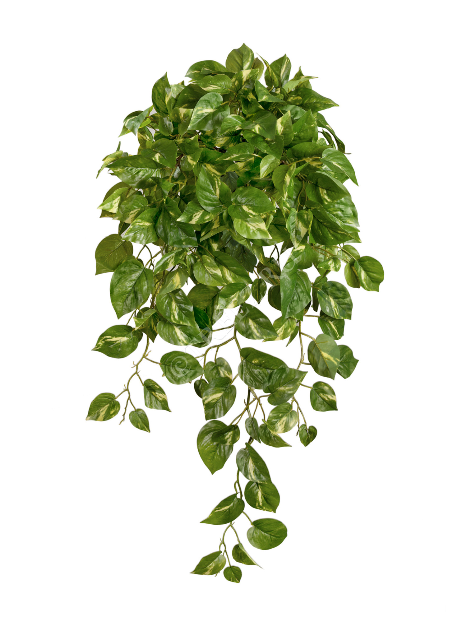 20.1377XL Потос Элегант ампельный большой новый Цветочная коллекция 