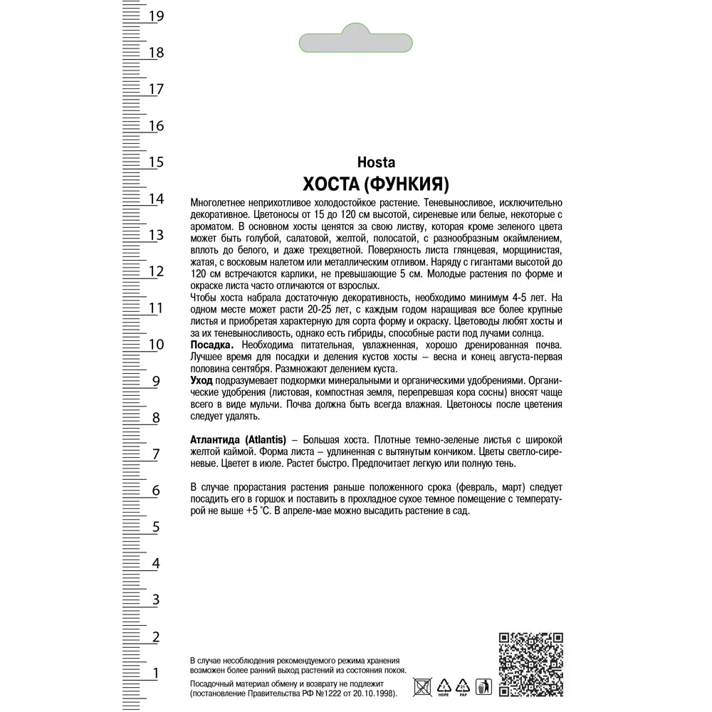 Хоста гибридная «Атлантис», 1 шт. 82118738 STLM-2125638 Santreyd  - Вид №1
