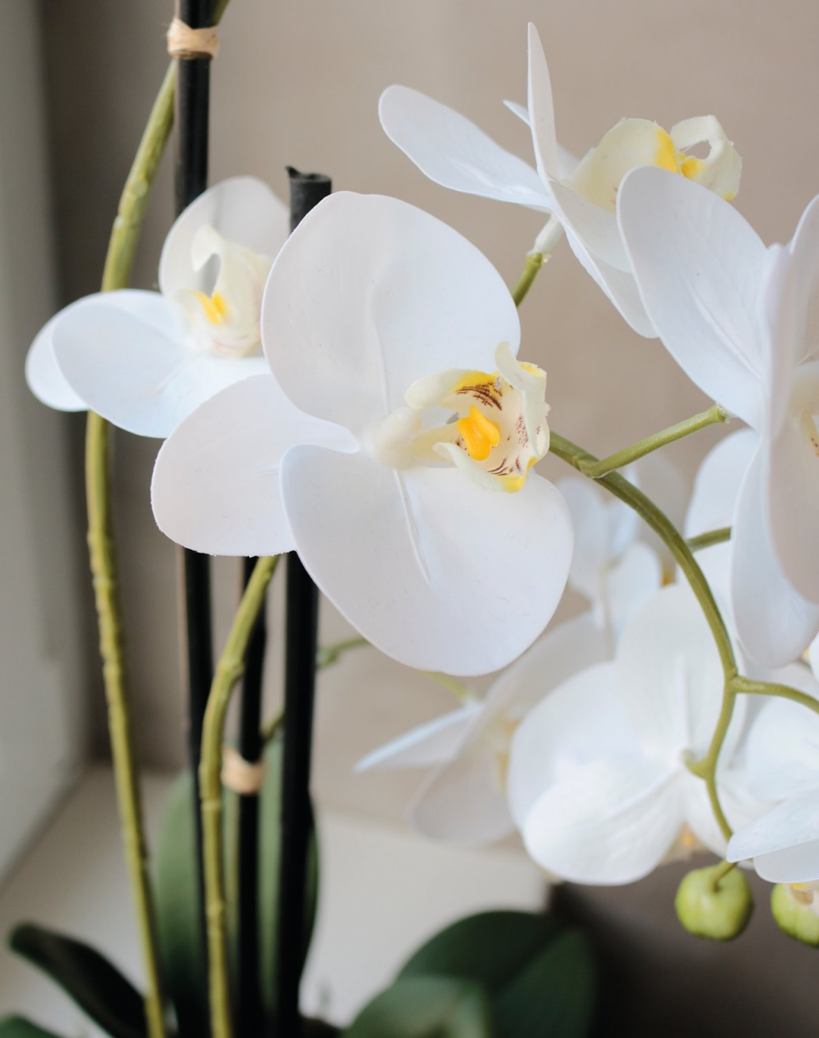 2778 778 a3 Пластиковая орхидея Phalaenopsis, 3-х кратная, горшечная, 55 см, real touch, бежево-белая H-andreas  - Вид №10