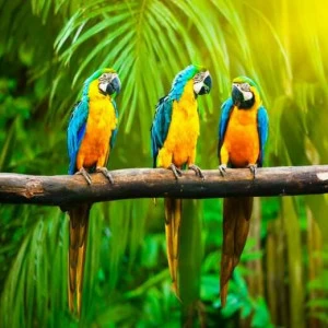 WP02695 Фотообои Verol Фотообои decoline 1х1 м