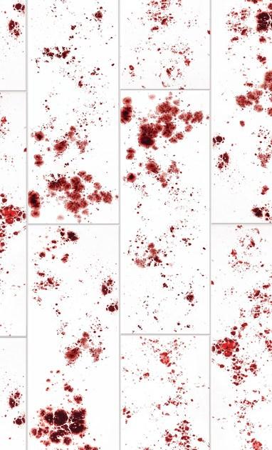 Danilo Ramazzotti Внутренняя облицовка майоликой Inchiostro simpatico Is7 - Вид №2