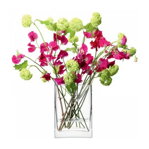 Ваза прямоугольная 22 см Flower LSA INTERNATIONAL - 253356 Прозрачный