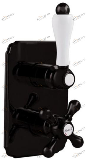 Rubinetteria Giulini Термостатический смеситель для душа на 2 отверстия с тарелкой Classic revolution - praga F8282-prce