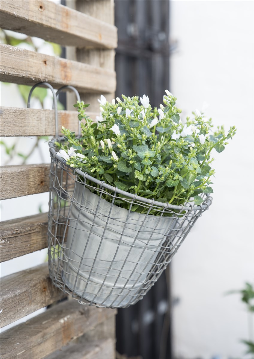 Корзинка металлическая с крючками серая Ib Laursen IB LAURSEN  00-3950126 Серый  - Вид №2