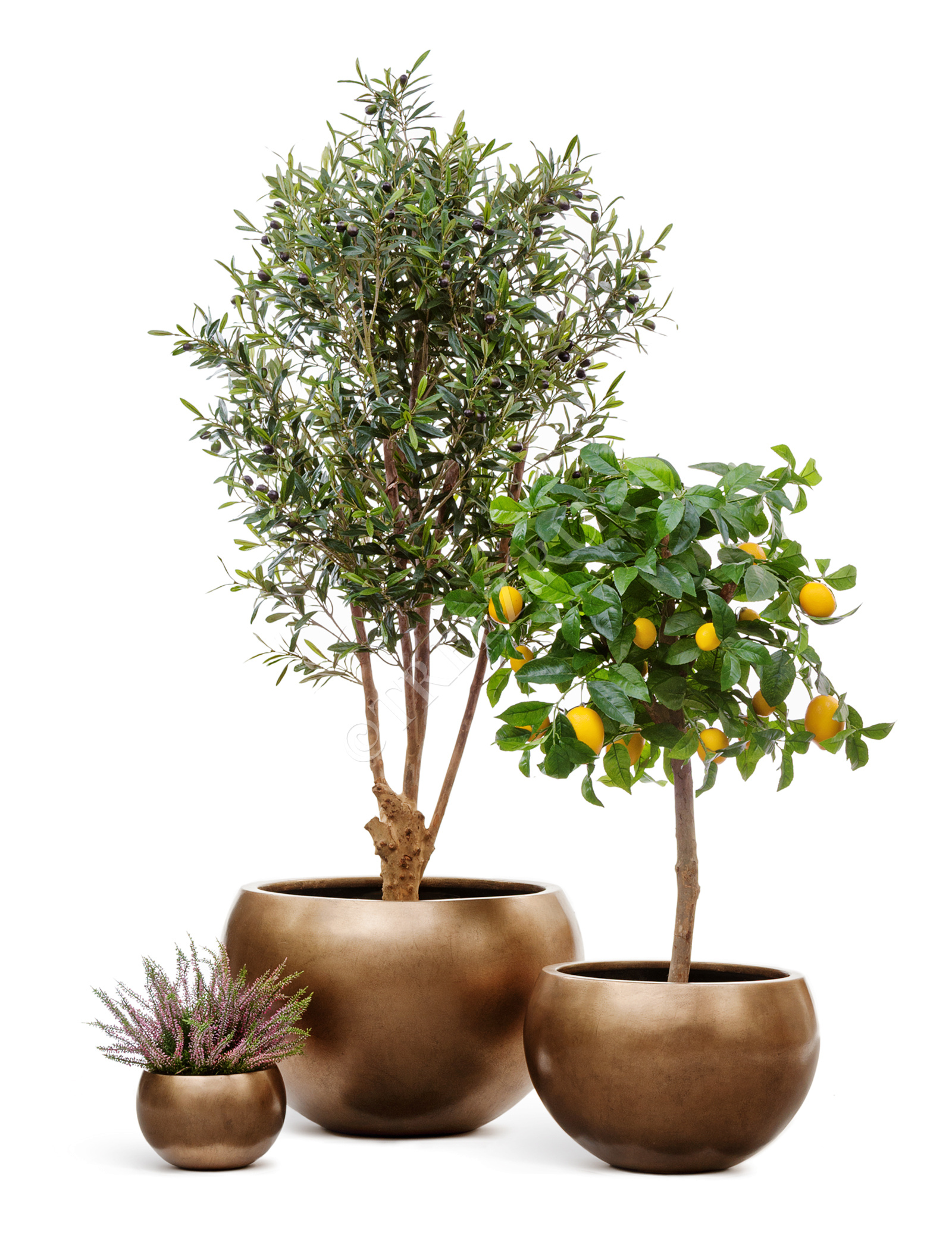 41.3318-04-016-BRS-22 Кашпо  Effectory - серия Metal - Полусфера - Тёмное матовое золото Цветочная коллекция  - Вид №4