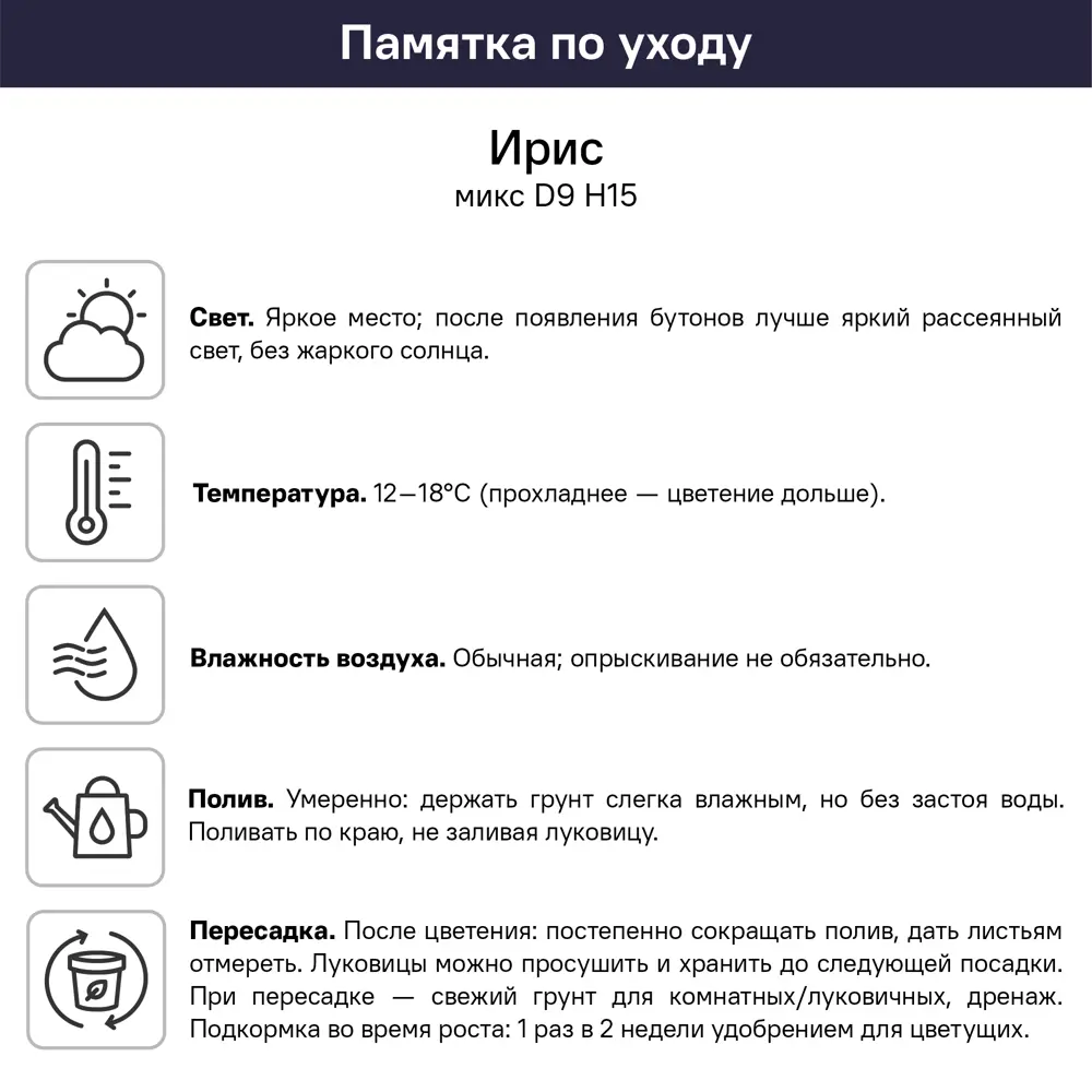 Ирис микс ø9 h15 см 89453305 STLM-2004180 Santreyd  - Вид №4