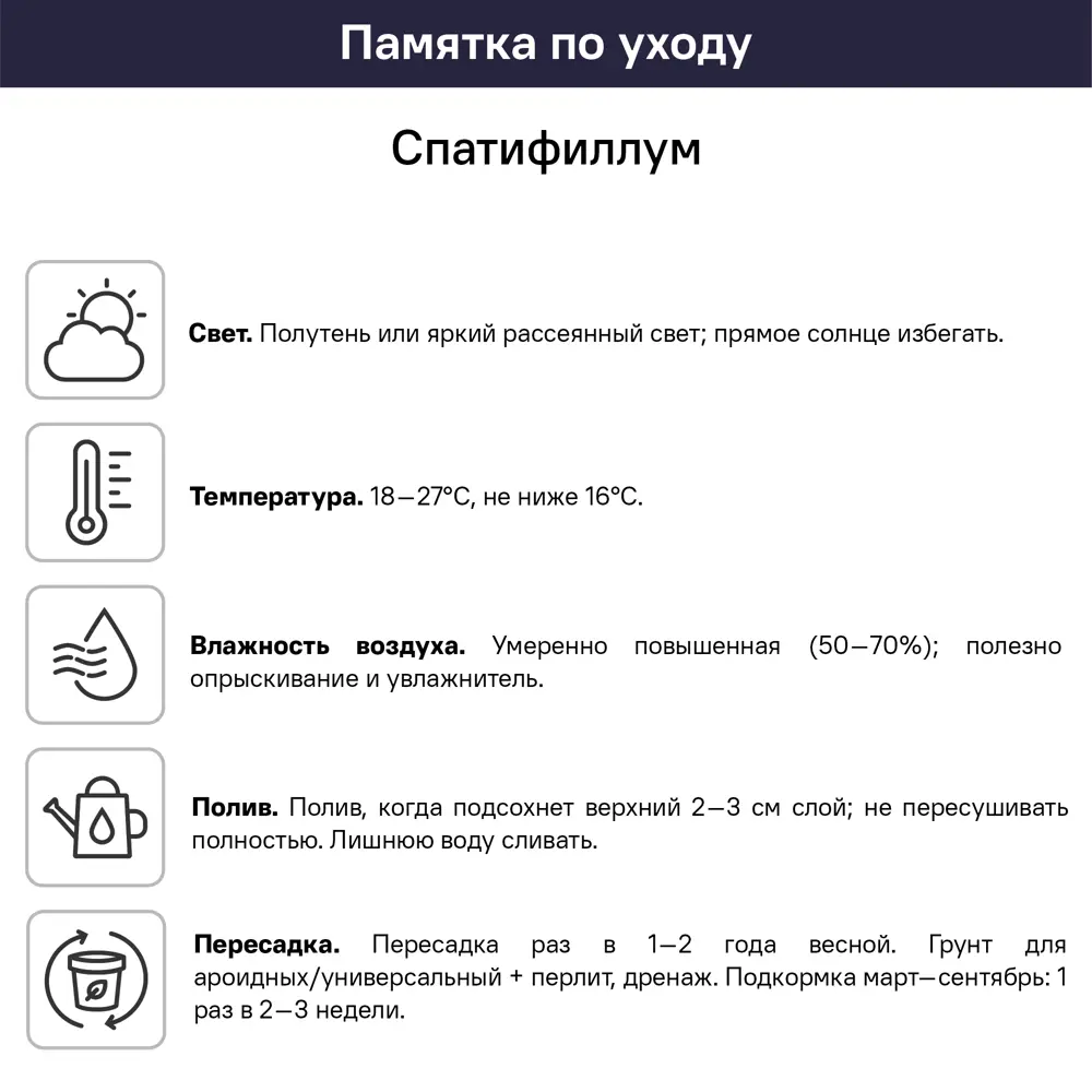 Спатифиллум Сенейшн 24x150 см 82399747 STLM-2049341 Santreyd  - Вид №1