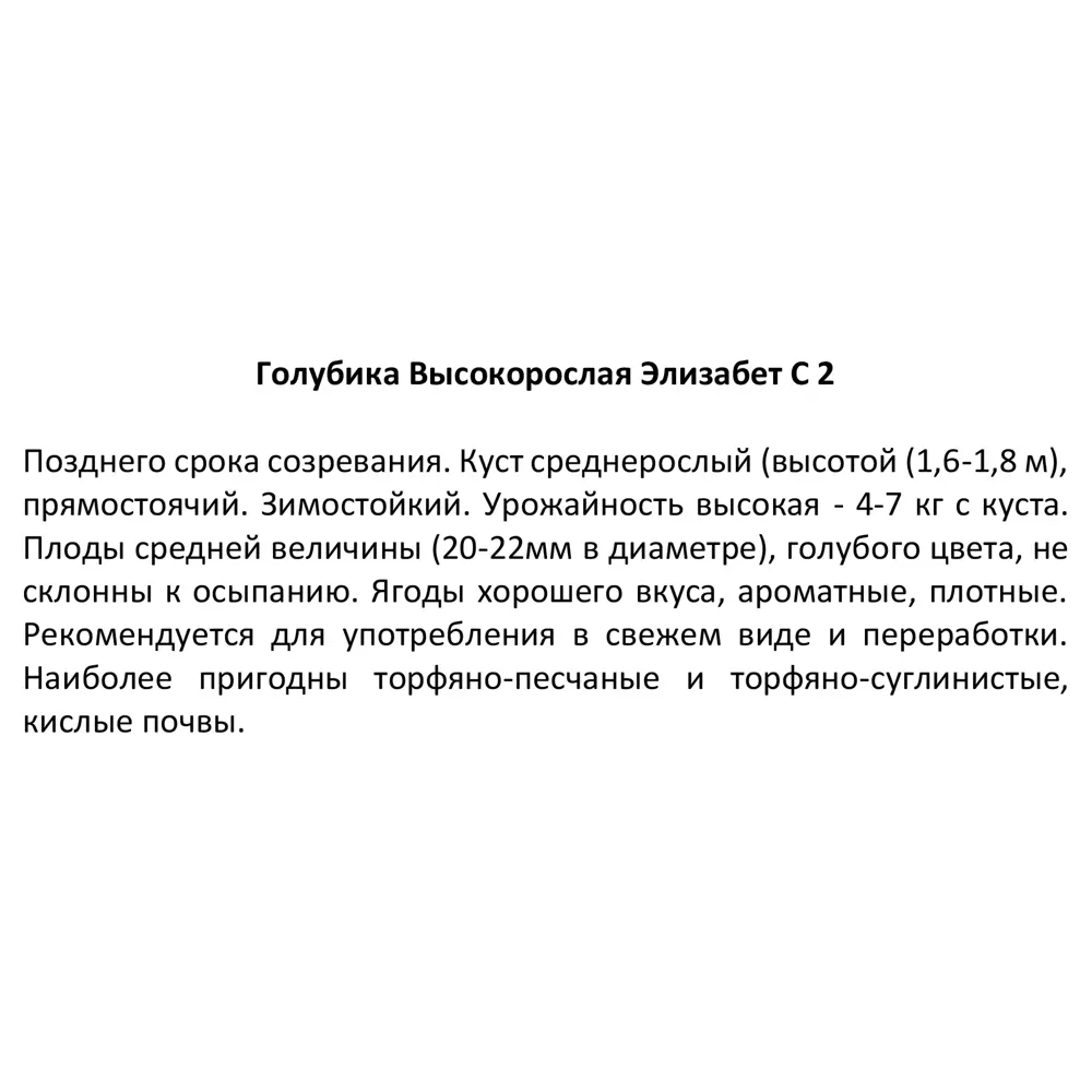 Голубика высокорослая Элизабет ø17 h30 см 85325565 STLM-2177083 Santreyd  - Вид №3
