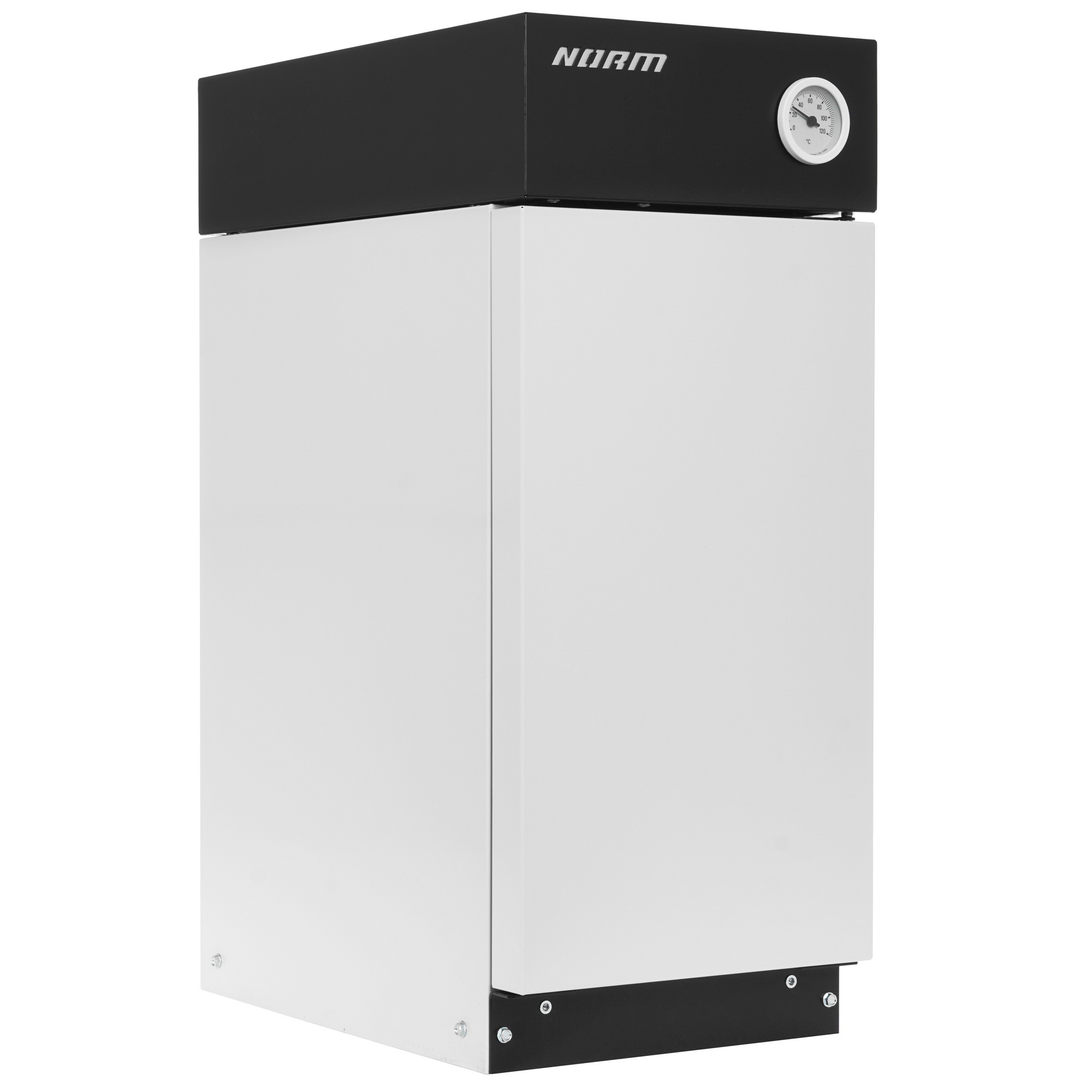 9904919 Газовый котел ЛЕМАКС NORM 10 напольный STDN-0140518