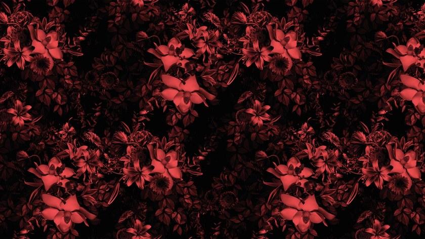 Baboon Цветочные обои для ванной Pattern sun-id-1406475 - Вид №5