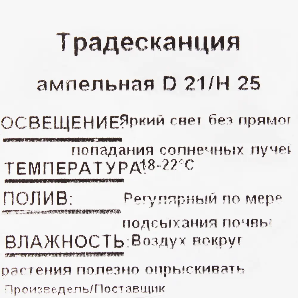 Рассада «Традесканция ампельная», 25x21 см 15983425 STLM-2154410 Santreyd  - Вид №3