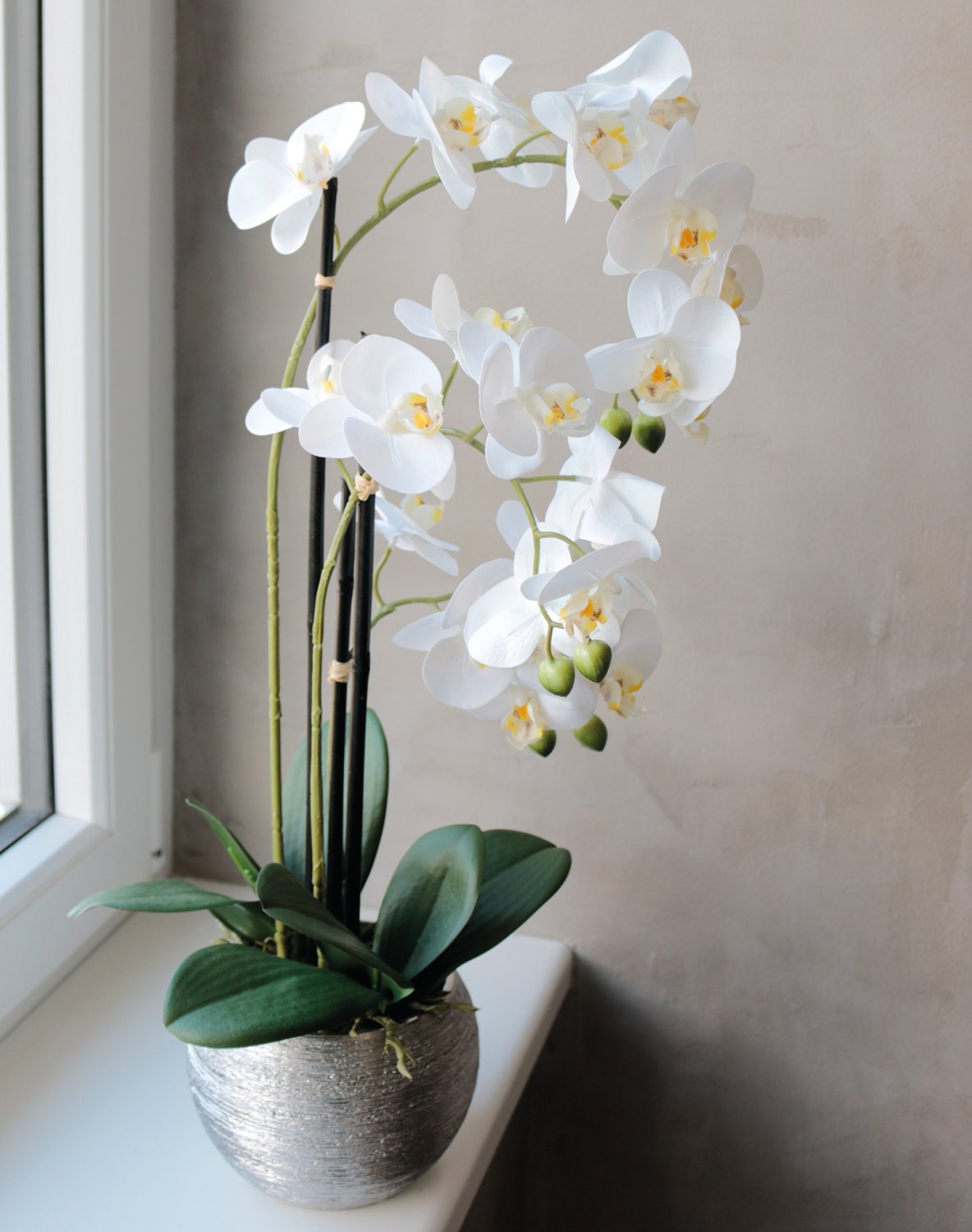 2778 778 a3 Пластиковая орхидея Phalaenopsis, 3-х кратная, горшечная, 55 см, real touch, бежево-белая H-andreas  - Вид №5