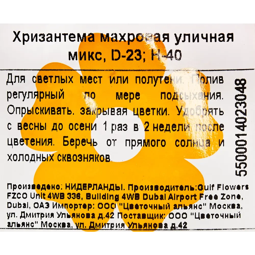 Хризантема Микс махровых сортов 12x25 см 82548596 STLM-2197636 Santreyd  - Вид №3