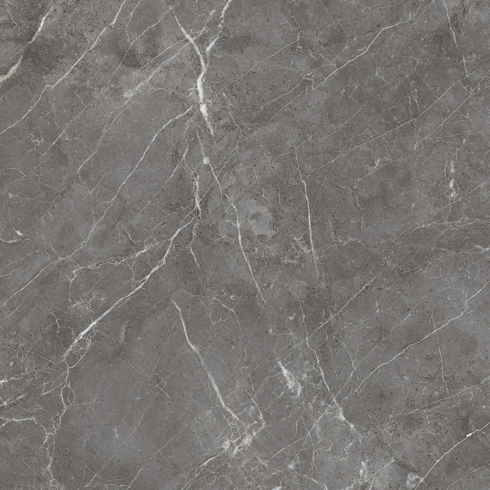ESPERIA GRIGIO ARCADIA CERAMICA CR6001-A - Вид №5