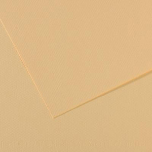 200321666 Бумага для пастели Mi-Teintes 160 г/м2 А4 21 х 29.7 см лист №407 кремовый Canson