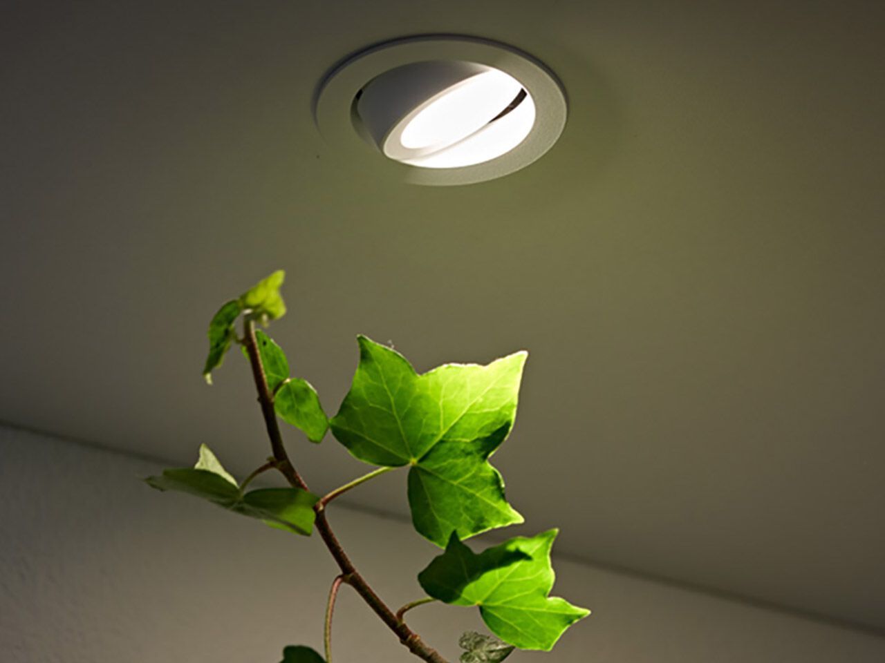 Утопленный светодиодный прожектор Flexalighting TYRONE 6 ARCH-00148128 - Вид №1