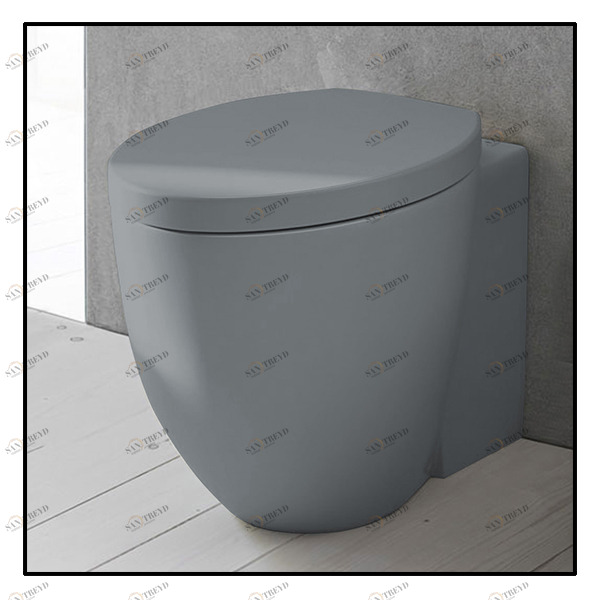 LGVABR Приставной унитаз напольный Серый Ceramica Cielo Le Giare Италия