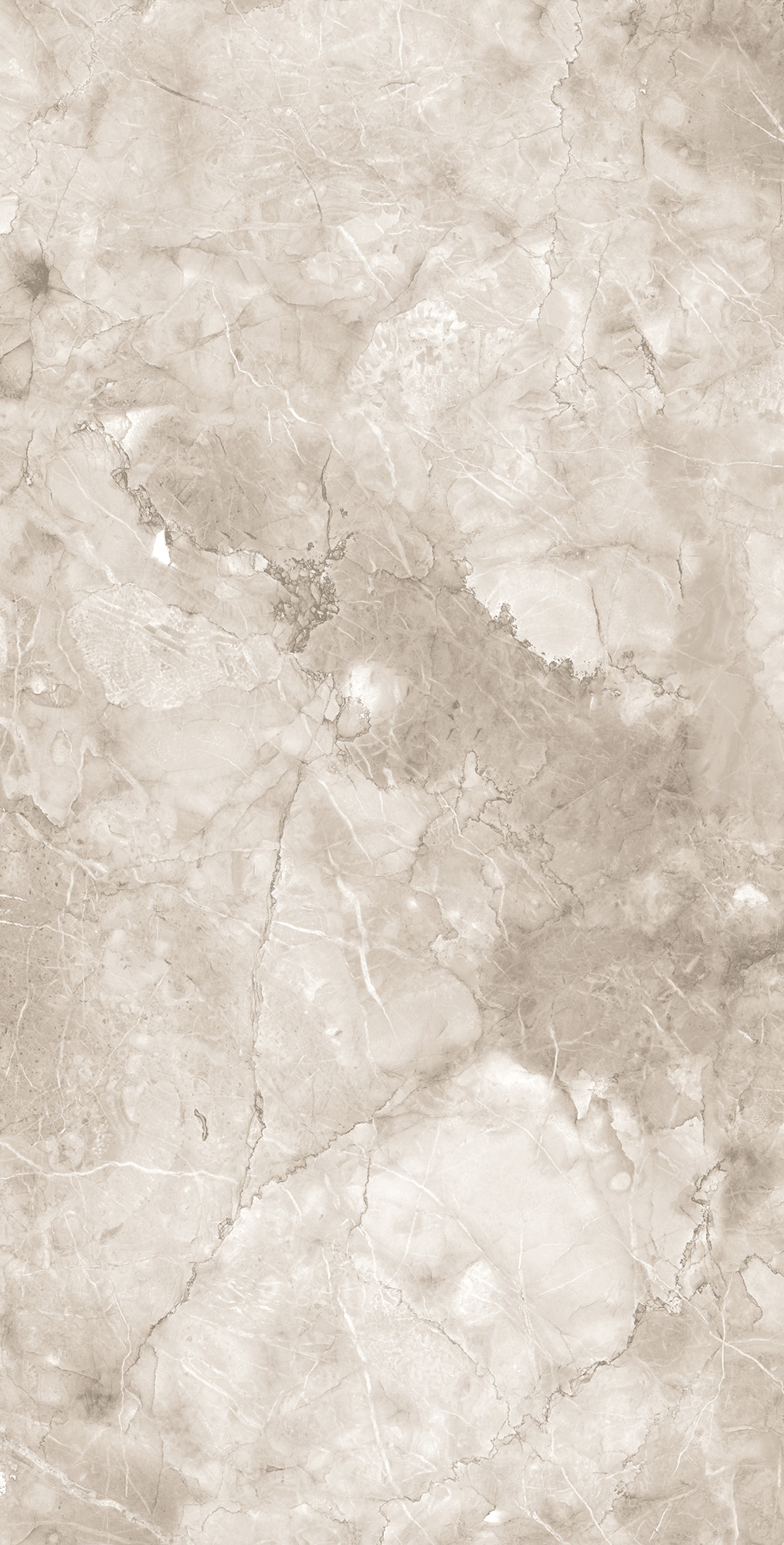 Керамогранит MICADO TAUPE 60х120 Arcadia Ceramica CR4025-A - Вид №6