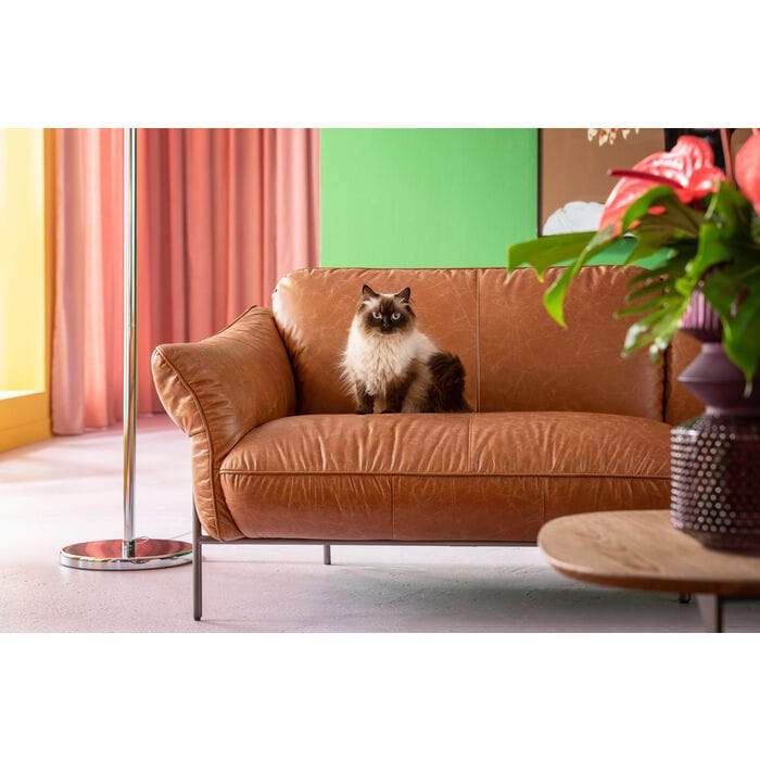 3-местный кожаный диван KARE Design Напа ARCH-00057459 - Вид №6