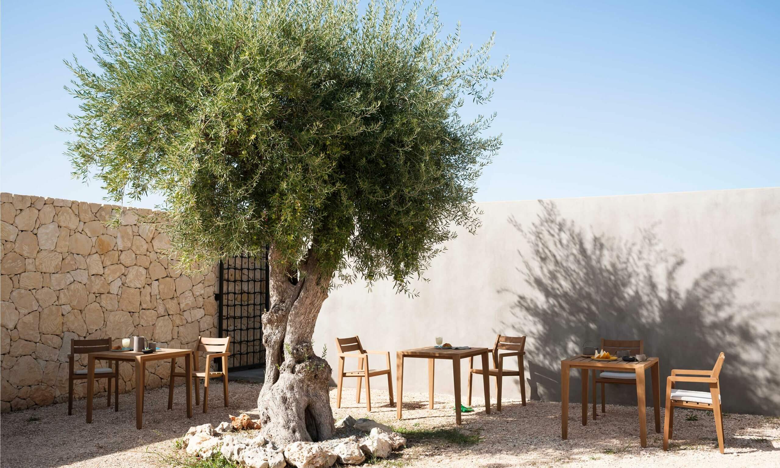 Квадратный садовый стол в ироко RODA Zania ARCH-00103040 - Вид №2