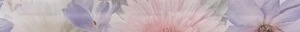 Aquarelle lilac 01 60х6.5
