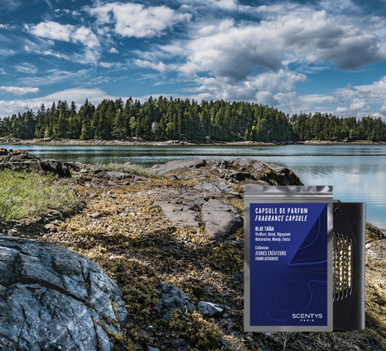 F2912 Ароматическая капсула SCENTYS Santreyd 