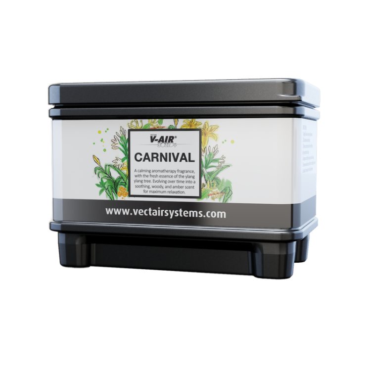 V-SOLIDP CARNIVL VECTAIR SYSTEMS Профессиональный картридж ароматизатора воздуха V-Air Solid PLUS Carnival Карнивал Черный (упаковка) 