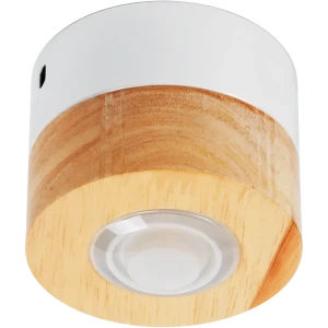 Светильник точечный светодиодный накладной влагозащищённый 12-100, 2 м², тёплый белый свет, цвет бук