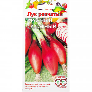 14388190 Семена Лук репчатый «Красный салатный»