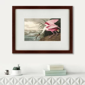 Литография на тонированной бумаге 47х60 см Roseate Spoonbill, 1827 КАРТИНЫ В КВАРТИРУ  191726 Белый;коричневый;разноцветный