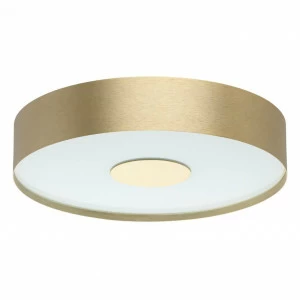 Потолочный светодиодный светильник De Markt Энигма 1 688010601 DE MARKT ЭНИГМА 1 202630 Золото;прозрачный