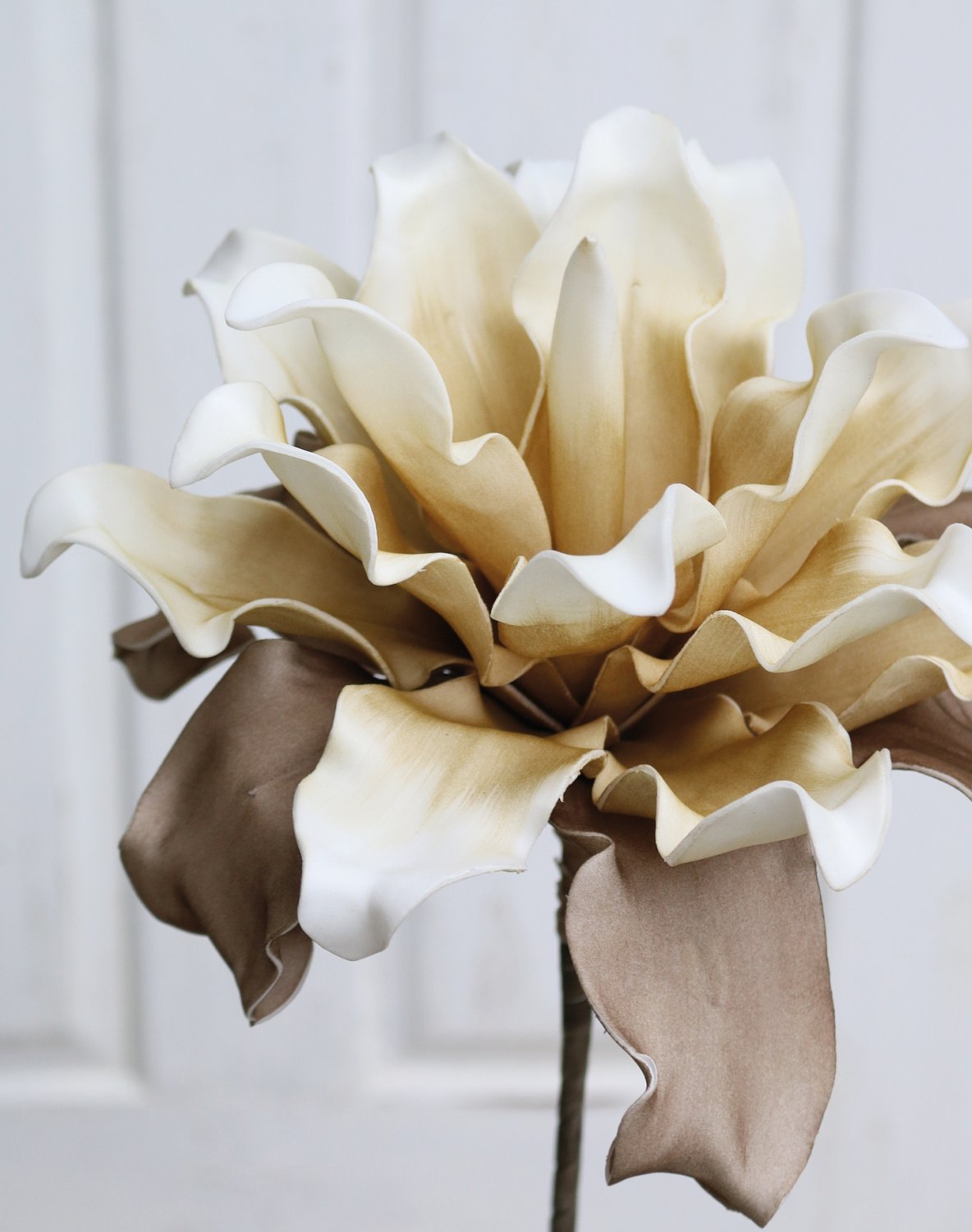 7898 776 a3 Искусственный протея мягкий цветок, 38 см, бежево-коричневый H-andreas 