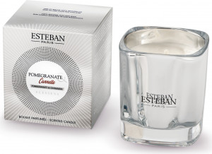 10653677 Esteban Аромасвеча Гранат и Корица, 170г Стекло