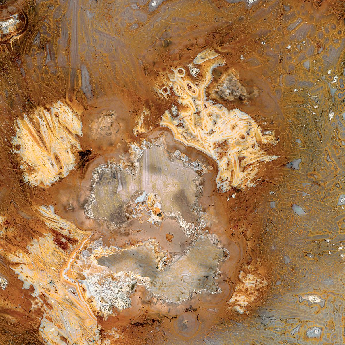 SICIS Sutra Calima Vetrite sun-id-1991233 - Вид №3