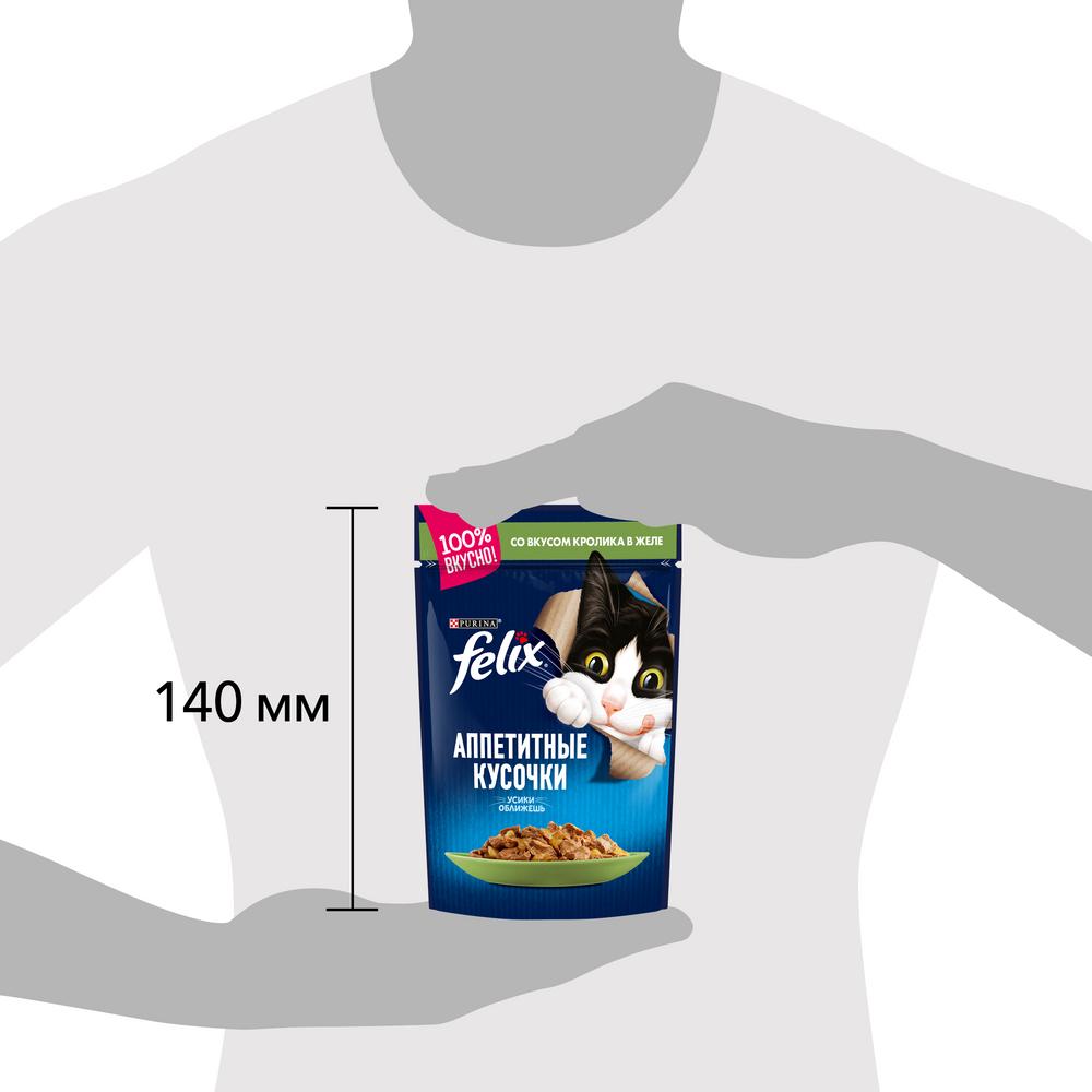 ПР0016274 Корм для кошек Аппетитные кусочки с кроликом в желе, пауч 85 г FELIX  - Вид №9