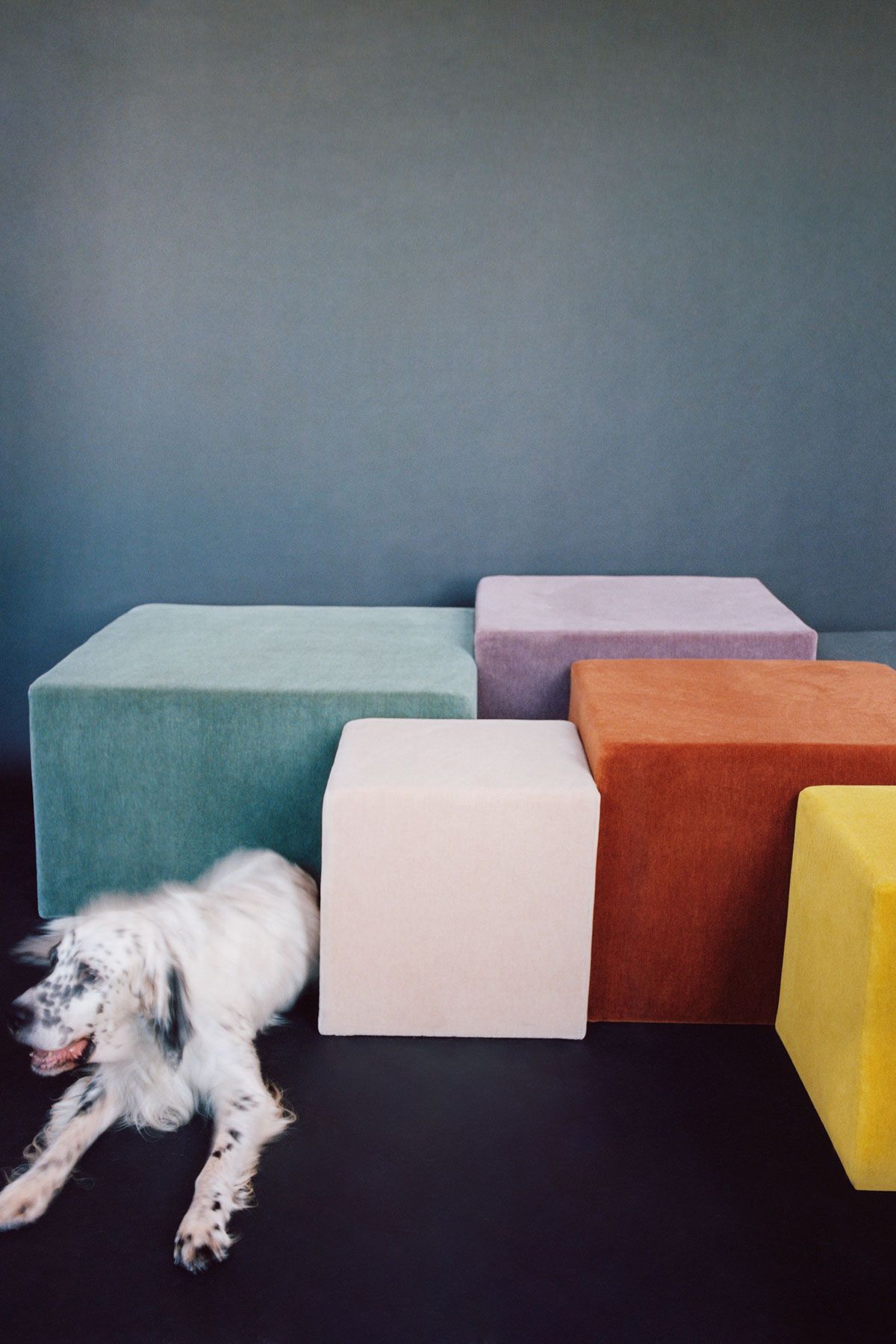 Обычная ткань для штор Dedar ALPACA ALTO ARCH-00094501