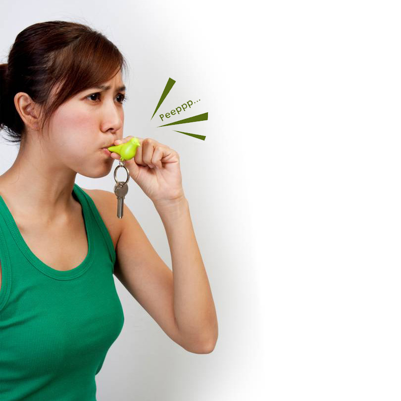 Держатель+брелок для ключей sparrow белый-зеленый QUALY  253170 Зеленый  - Вид №1