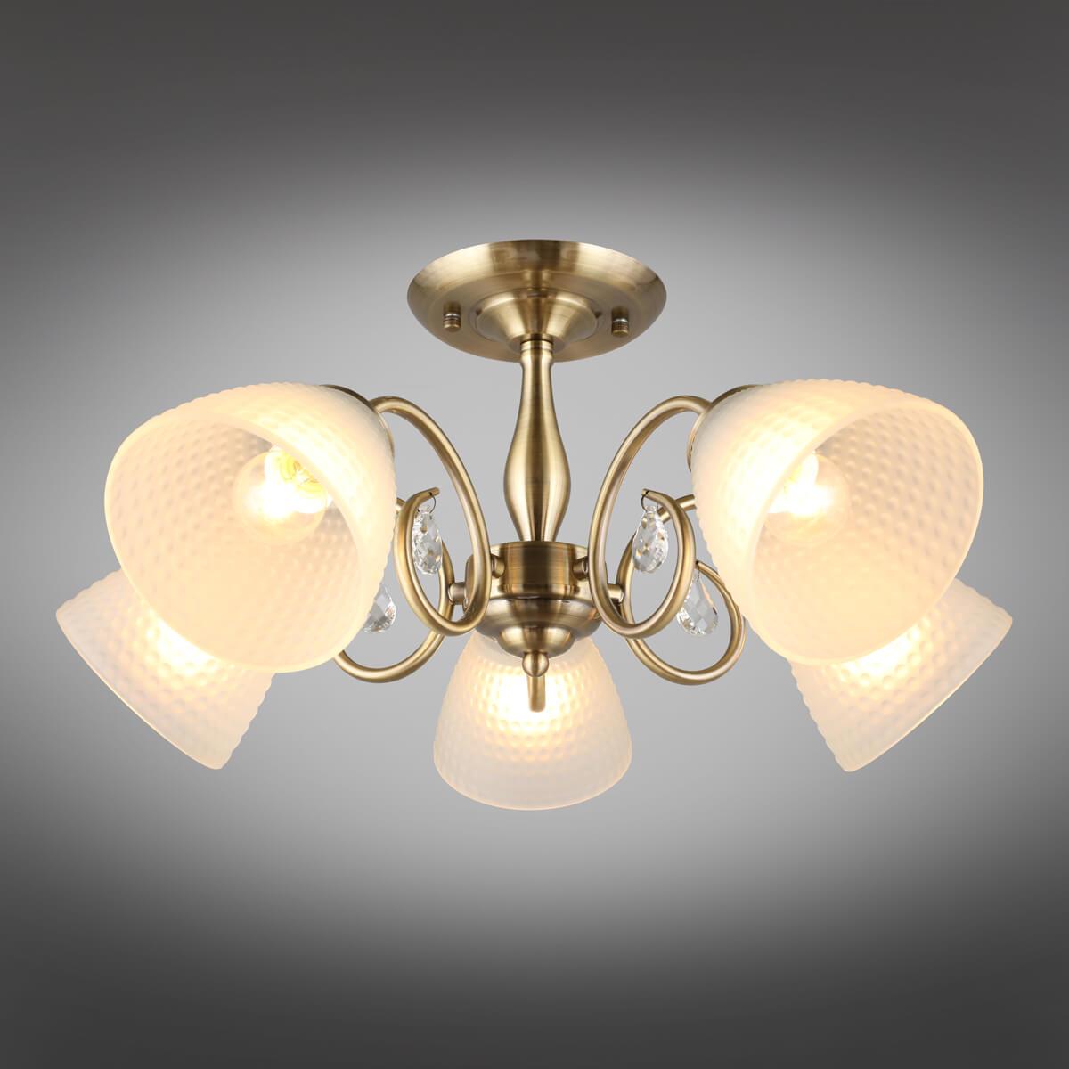 Потолочная люстра Omnilux Rezzato OML-65407-05 OMNILUX REZZATO 328319 Белый;бронза  - Вид №1