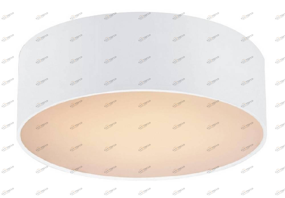 Потолочный светильник Favourite Cerchi 1515-2C1 FAVOURITE CERCHI 082442 Белый 