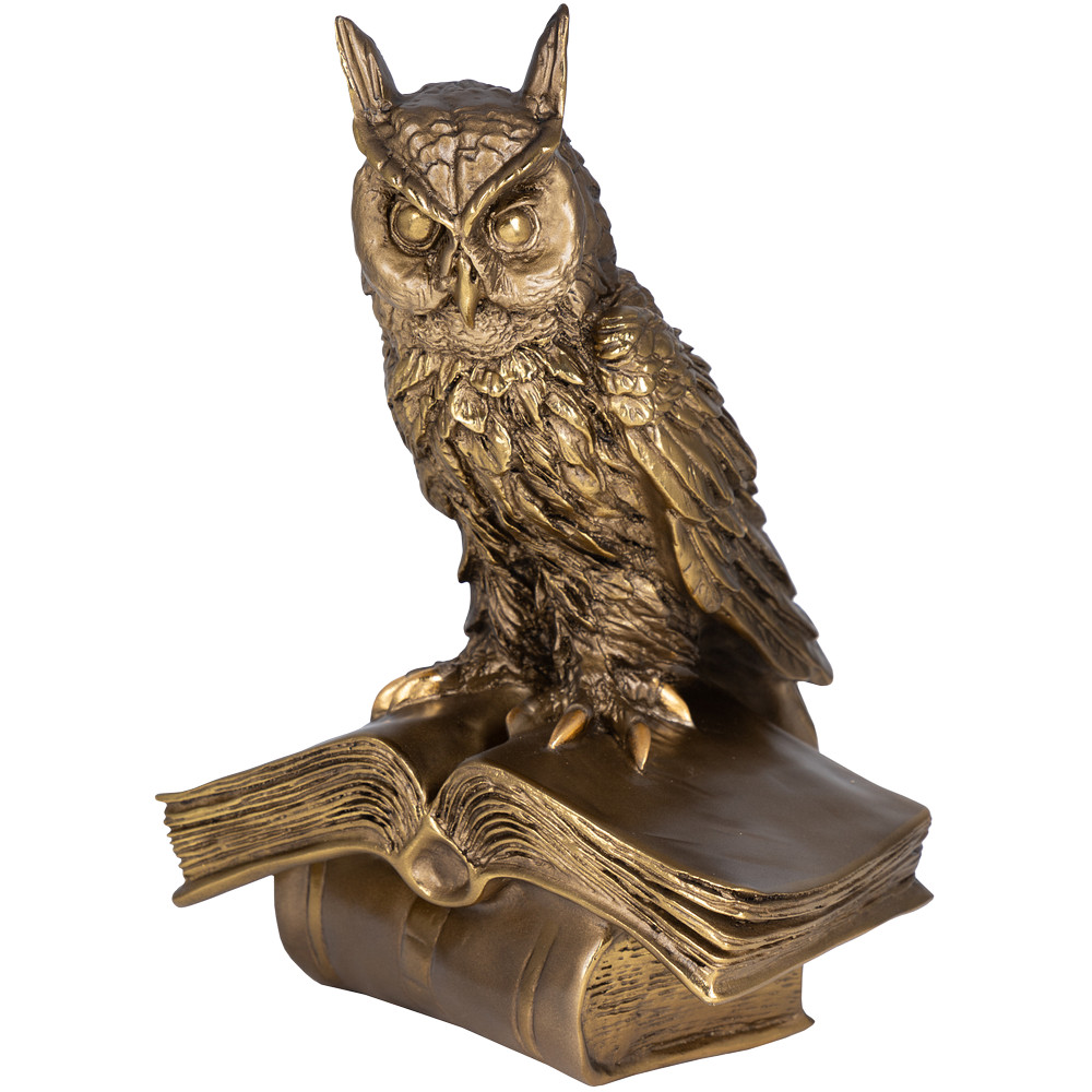 22139 Статуэтка Ученый Филин Бронза BOGACHO 4627138239414 - Вид №3