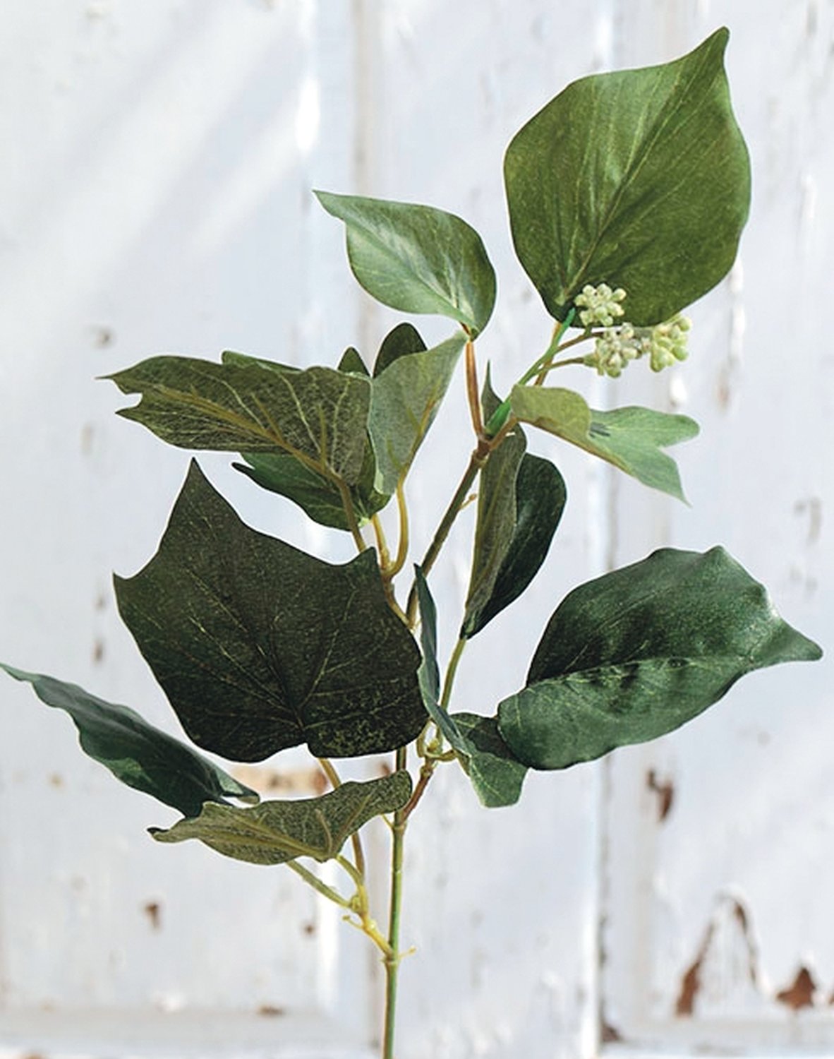 6735 883 a2 Искусственная ветка тополя чёрного, 35 см, зелёная H-andreas 