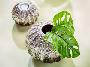 Круглая ваза