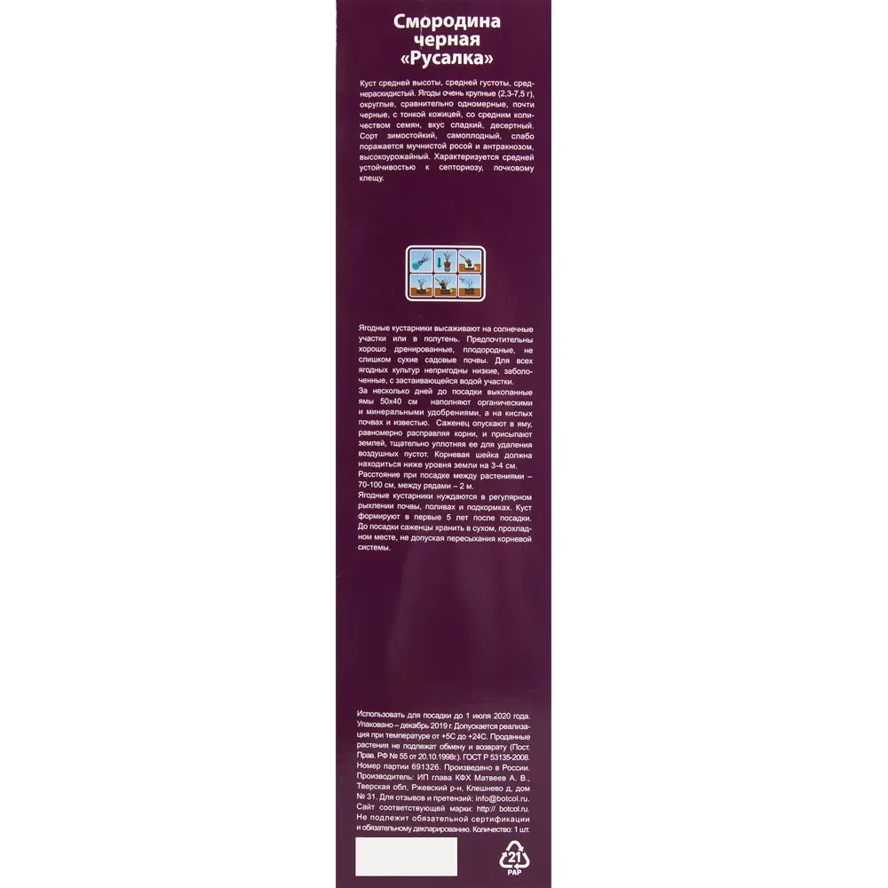 Смородина чёрная Русалка в тубе 82539575 STLM-2068120 BOTANIC COLLECTION  - Вид №2
