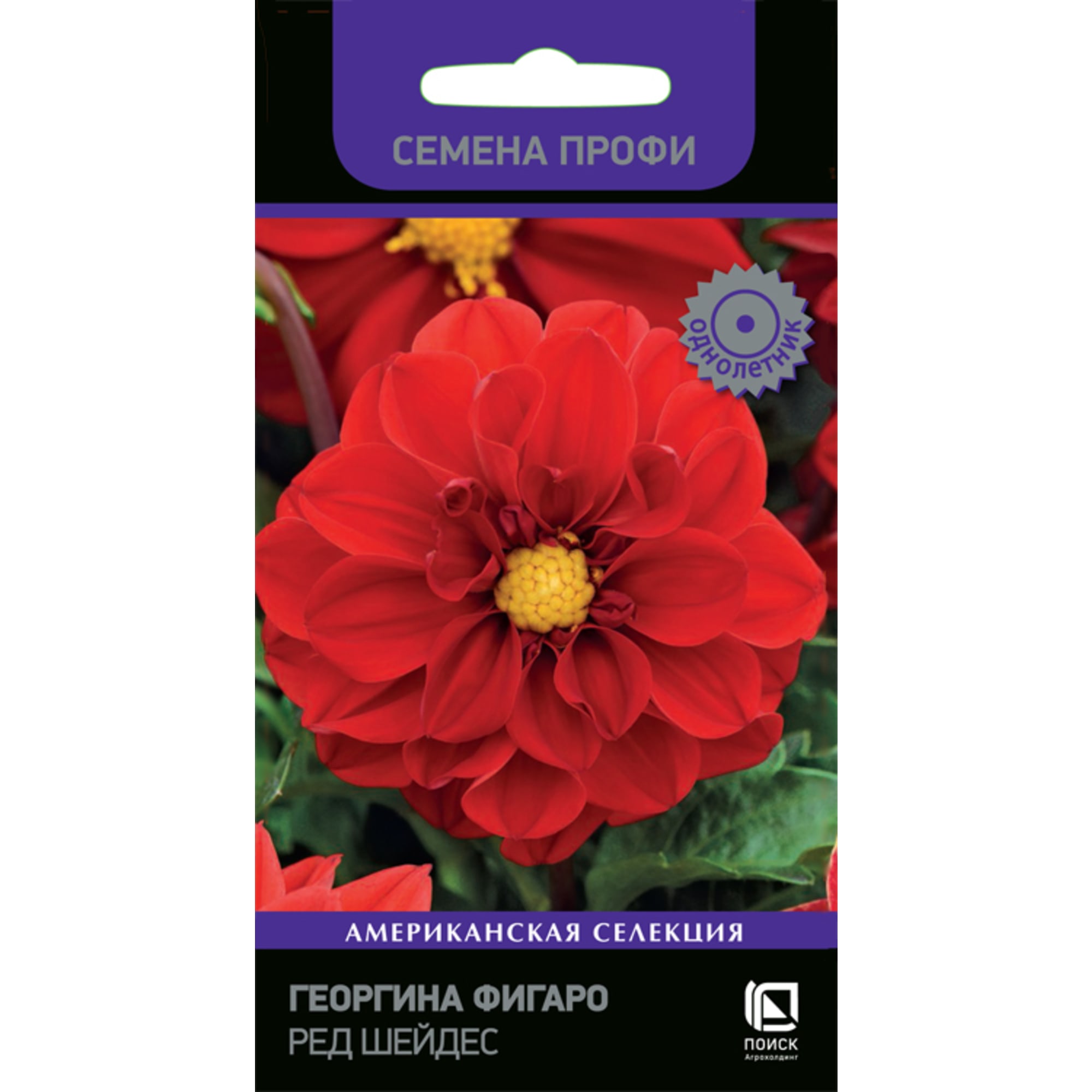 83227398 Семена Георгина Фигаро «Ред Шейдес» Santreyd 