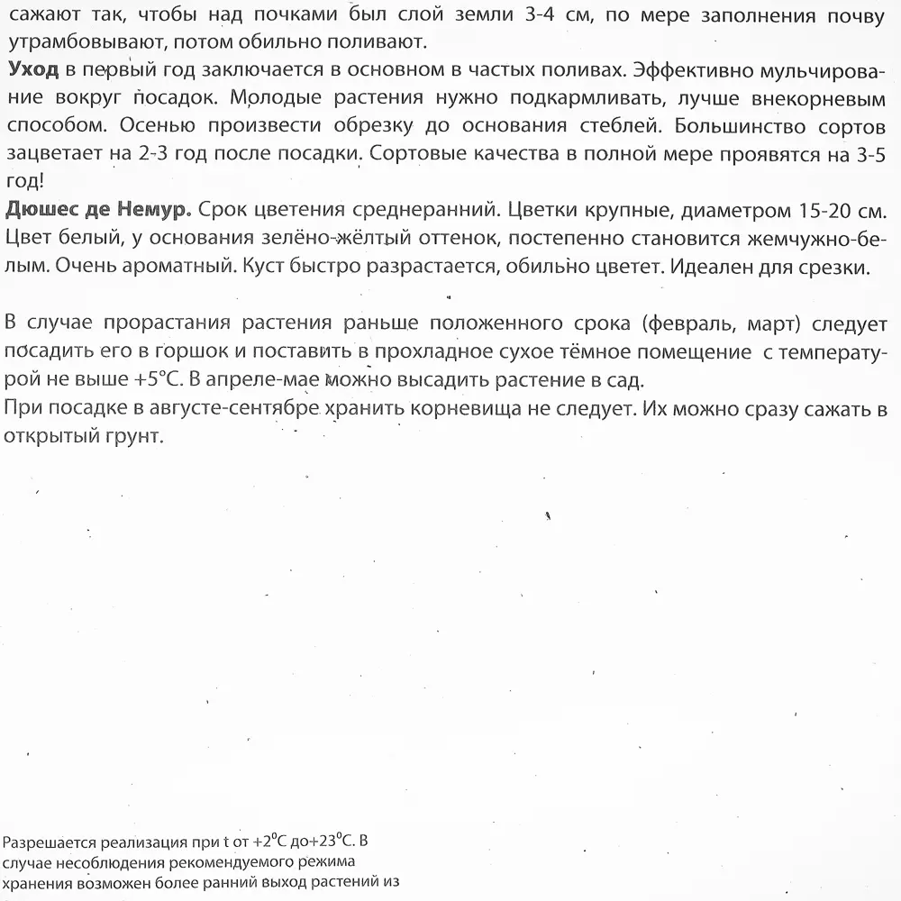 Пион травянистый «Дюшес де Немур» 81945475 STLM-2063780 Santreyd  - Вид №2