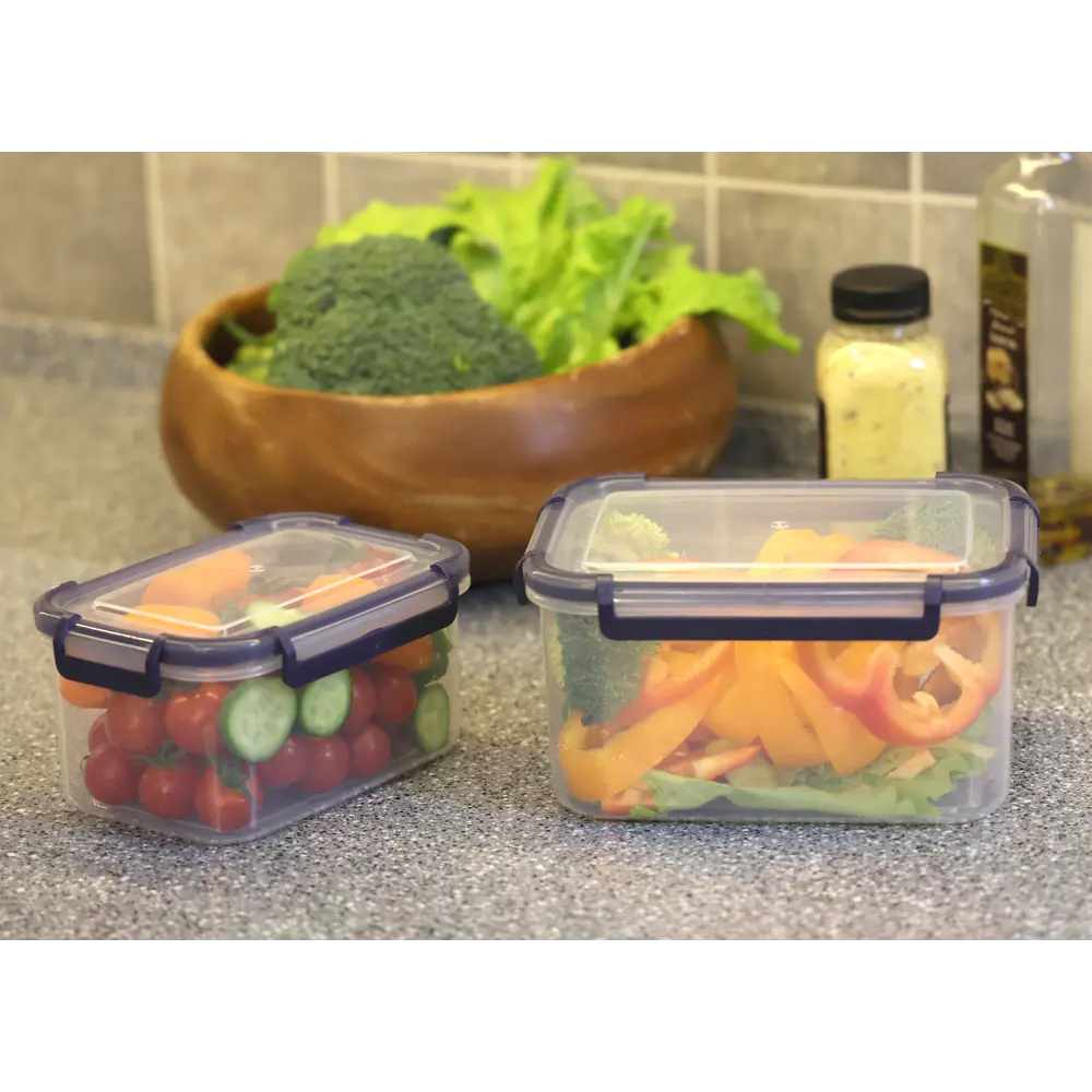 Santreyd: Набор герметичных контейнеров для хранения продуктов 0.8+1.6 л 84841765 STLM-0055941 - Вид №7