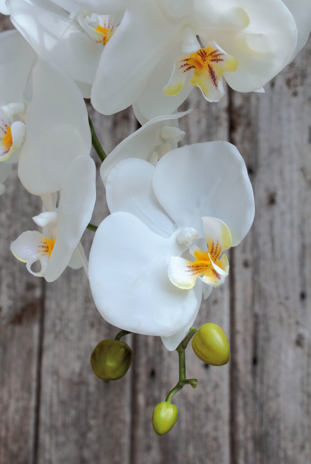 2604 778 a3 Искусственная орхидея Phalaenopsis, 2-х кратная, в керамическом горшке, 100 см, real touch, бежево-белая H-andreas  - Вид №1