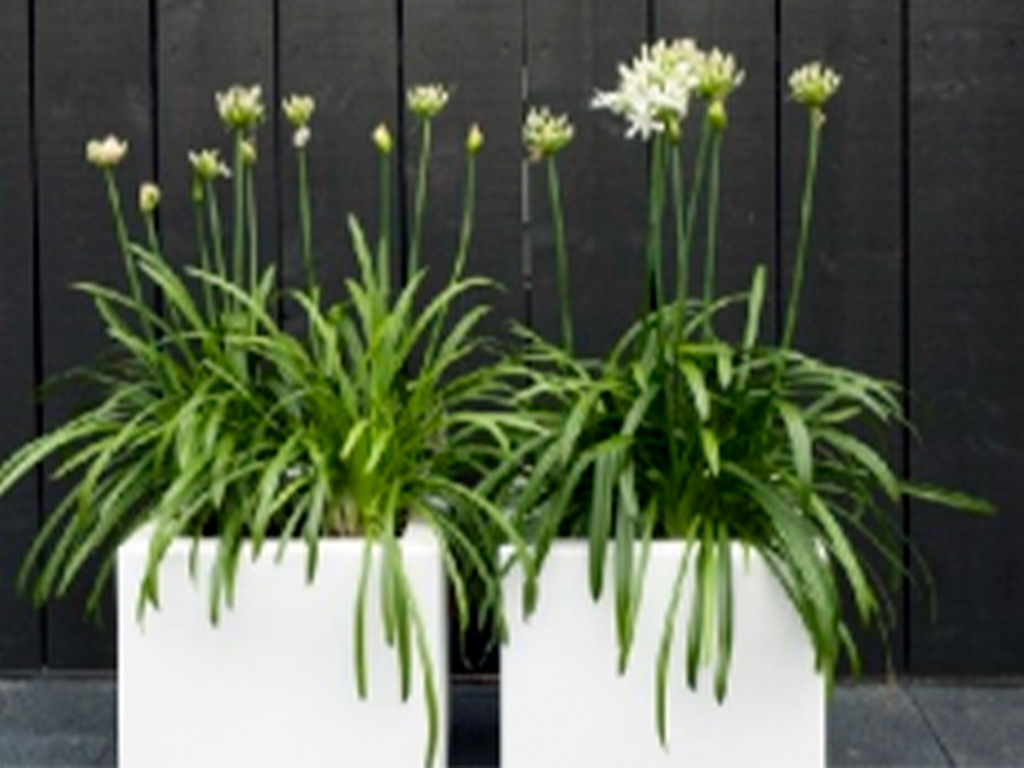 Кашпо коллекции "Ардена" АD-01-40 40/40/40 ГеоПластБорд GPBST-99 - Вид №7