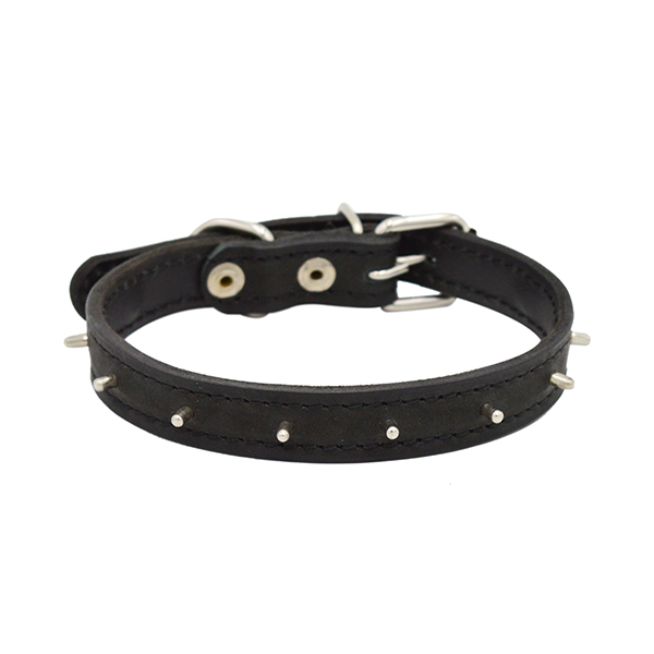 ПР0048182 Ошейник для собак Ёж 2сл 14мм 35см черный ZOOEXPRESS 